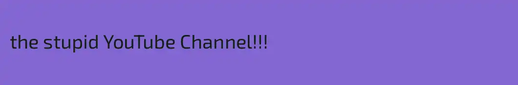 the stupid YouTube Channel!!!